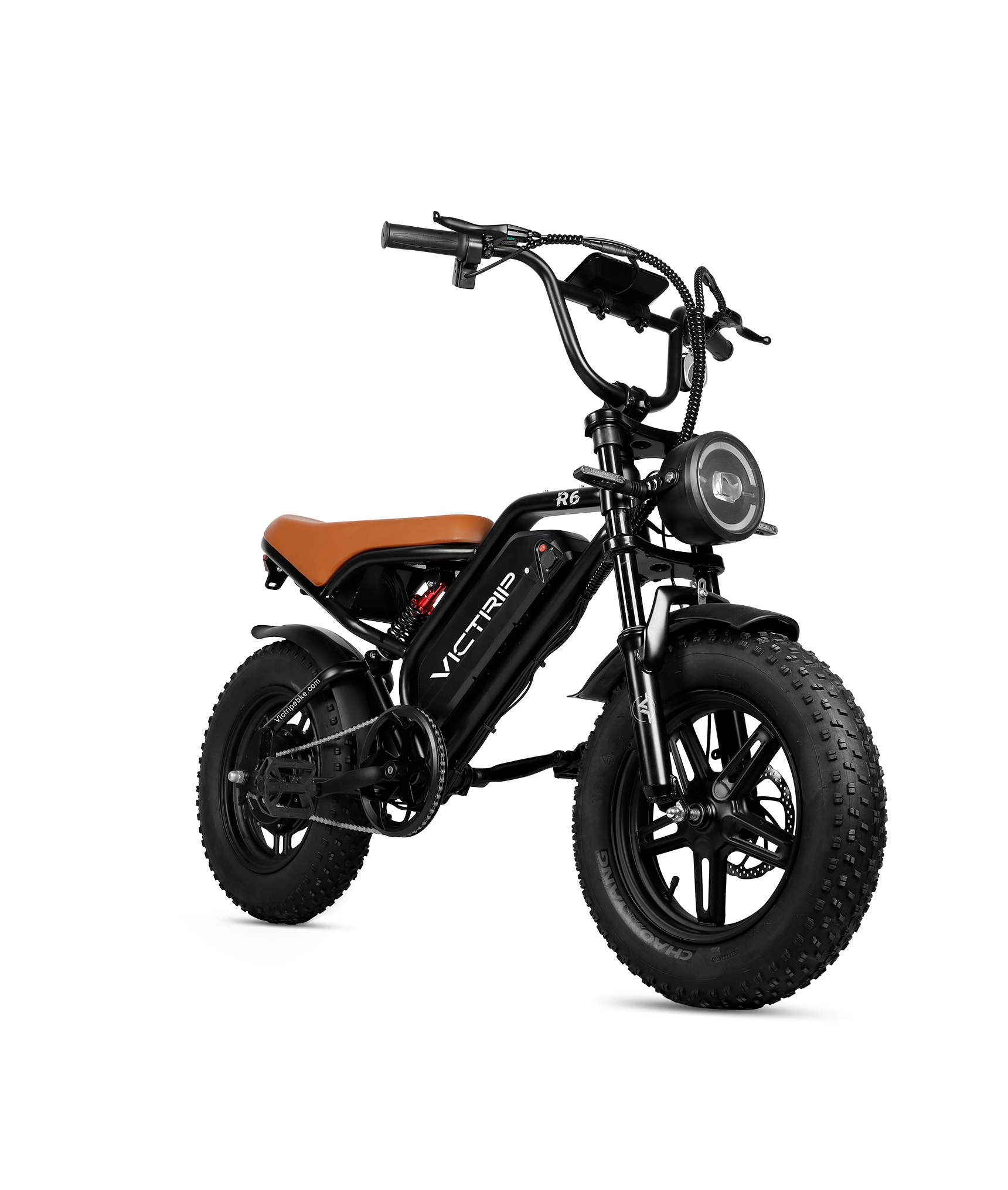 VICTRIP R6 Off Road Ebike