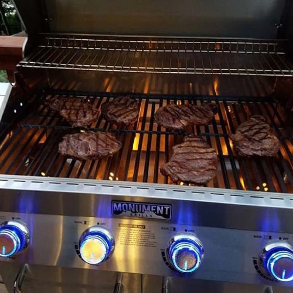 Stainless Infrared Propane Gas Grill