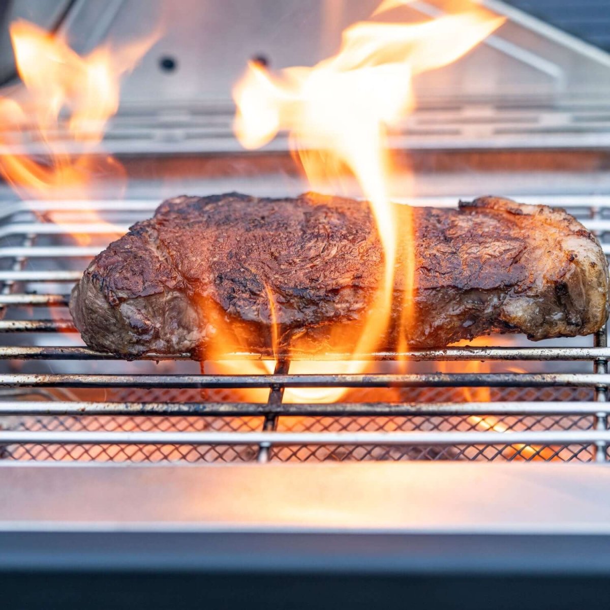 Stainless Infrared Propane Gas Grill