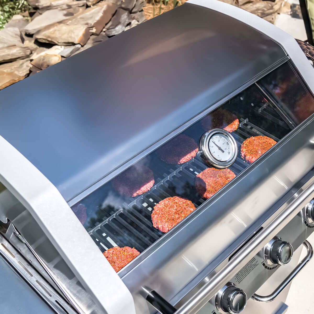 Stainless Infrared Propane Gas Grill