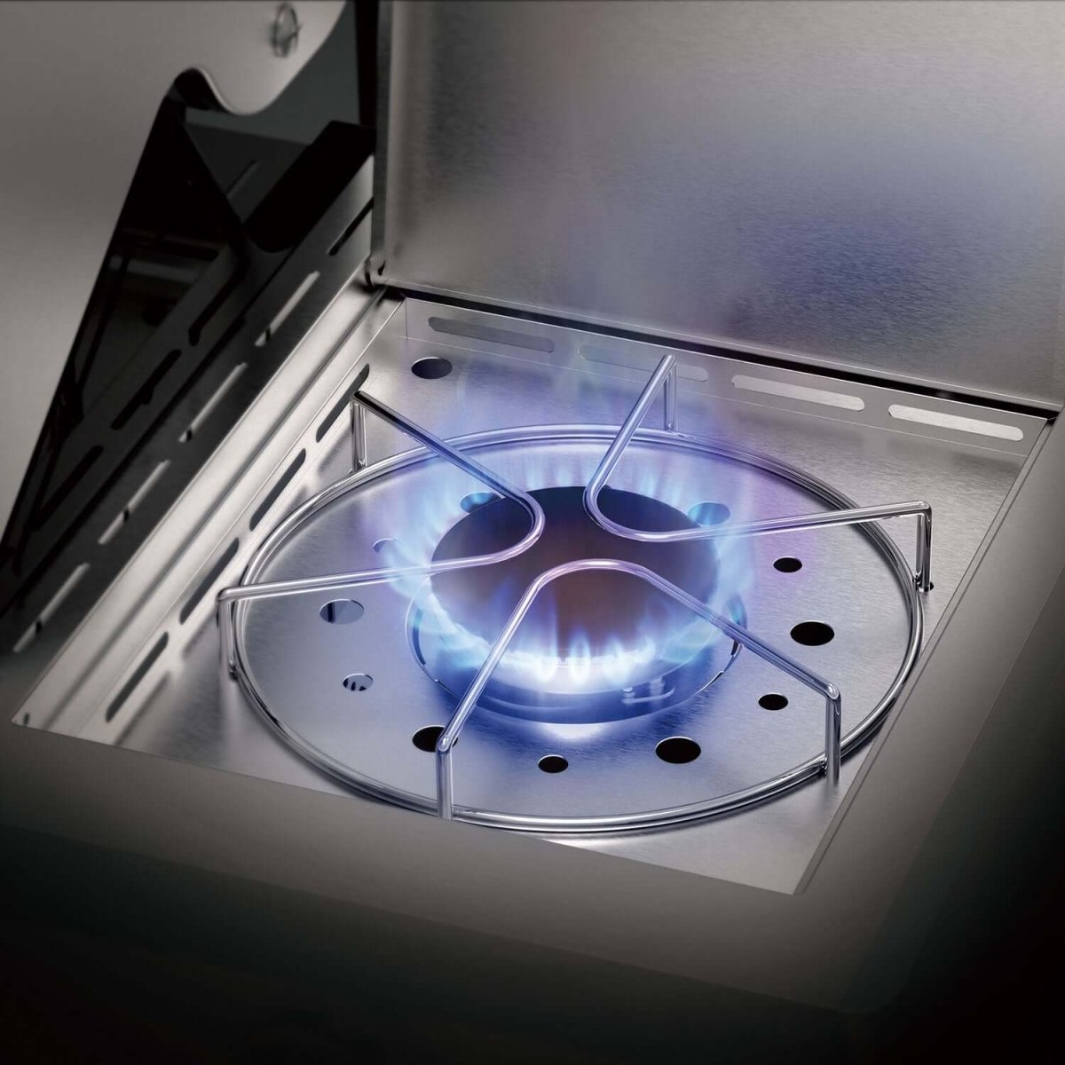 Stainless Infrared Propane Gas Grill