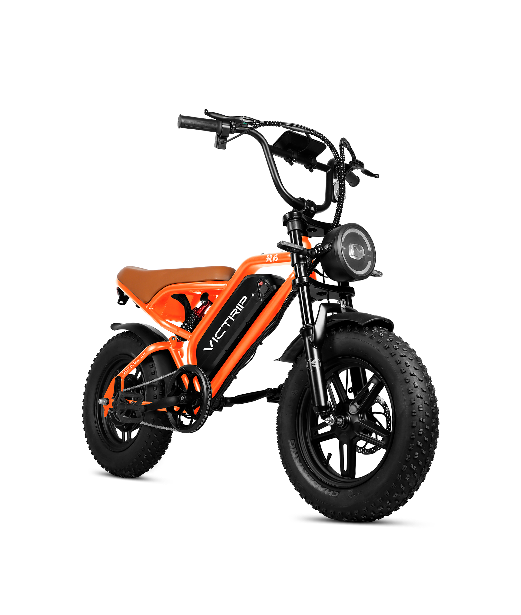 VICTRIP R6 Off Road Ebike