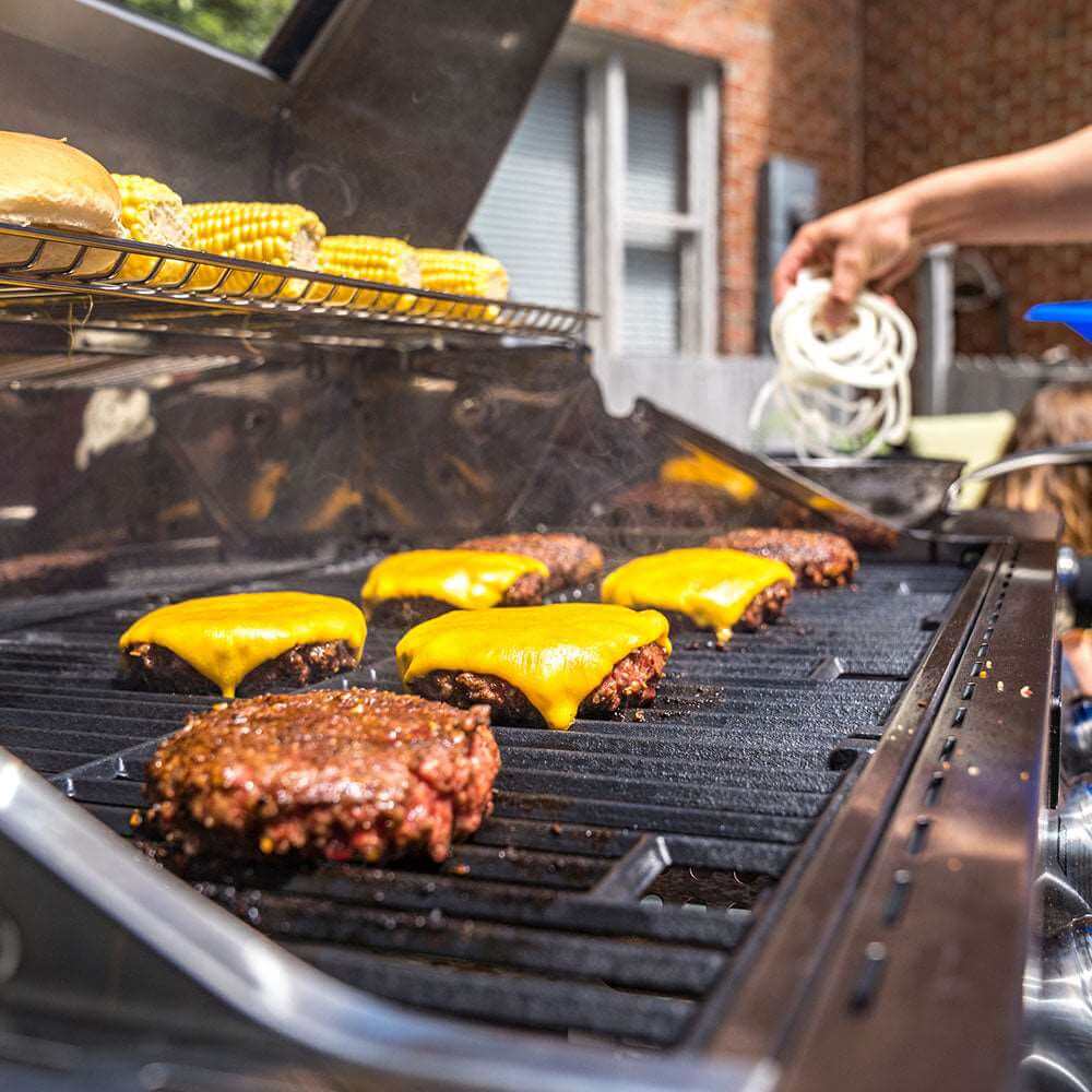 Stainless Natural Propane Gas Grill