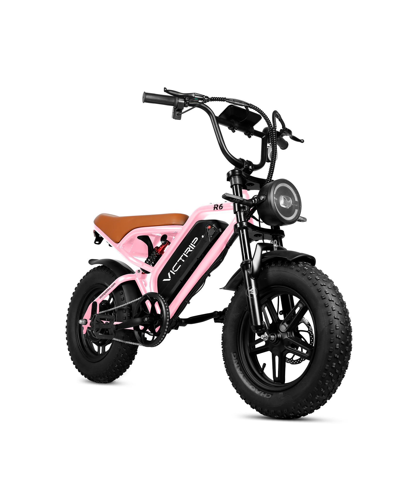 VICTRIP R6 Off Road Ebike