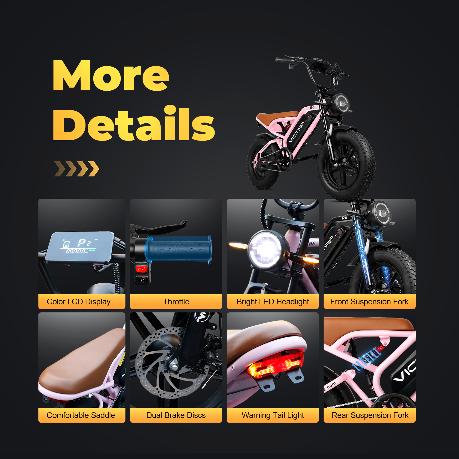 VICTRIP R6 Off Road Ebike