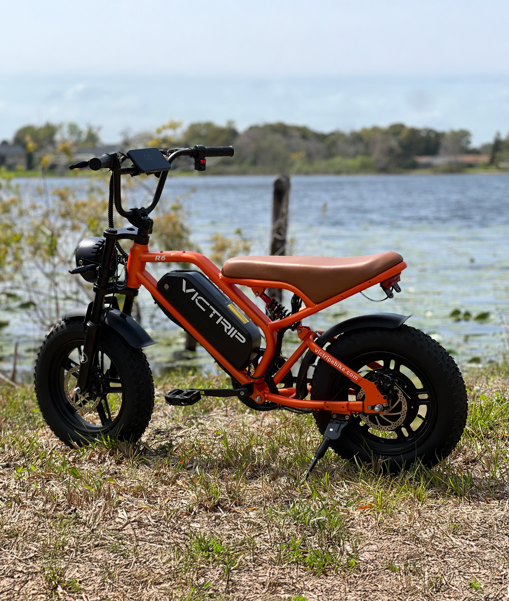 VICTRIP R6 Off Road Ebike