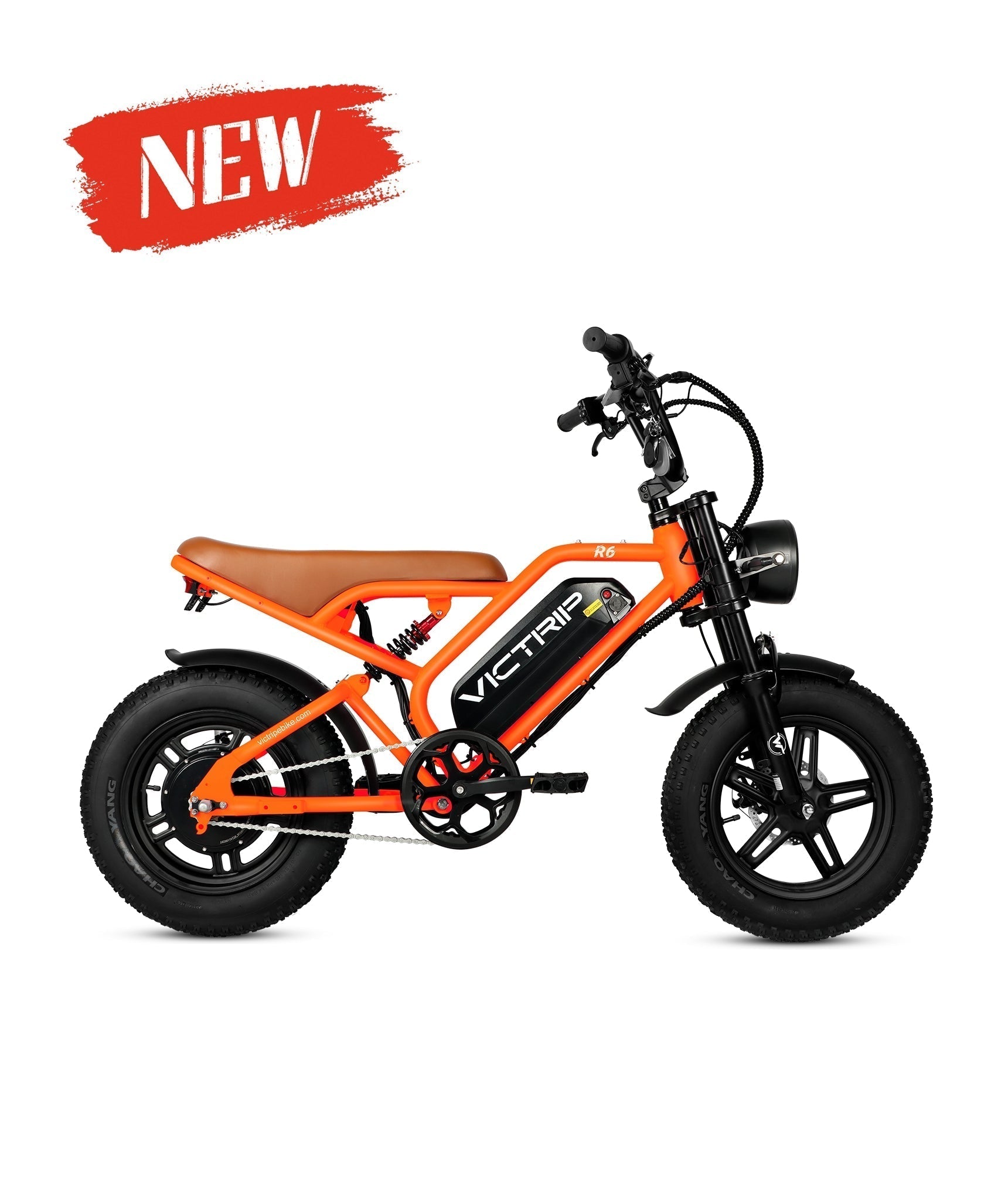 VICTRIP R6 Off Road Ebike