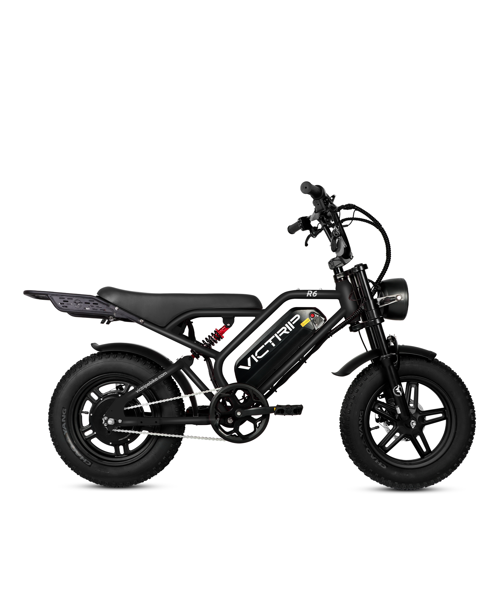 Cargo Electric Bike Mini | VICTRIP