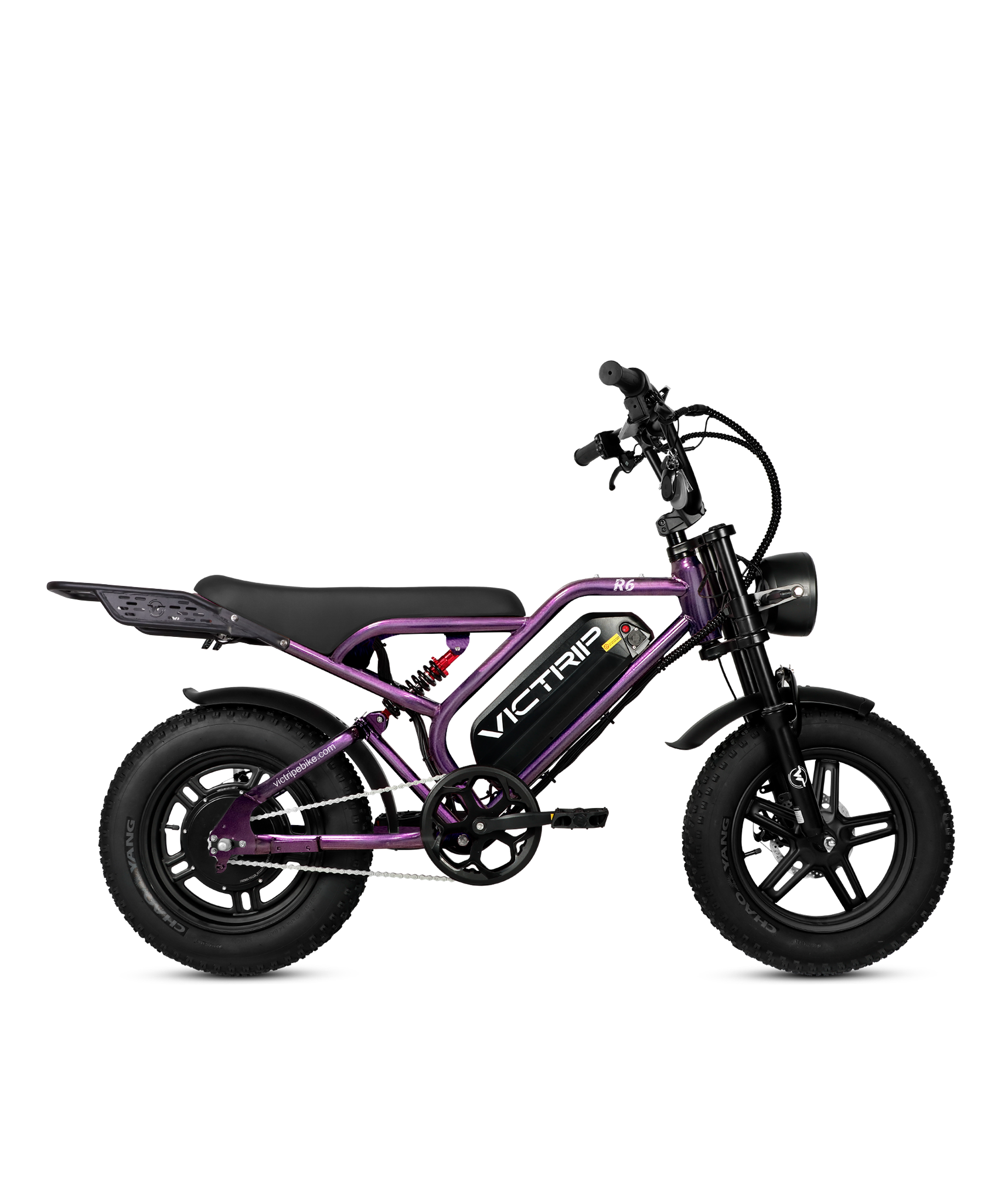 Cargo Electric Bike Cheap | VICTRIP