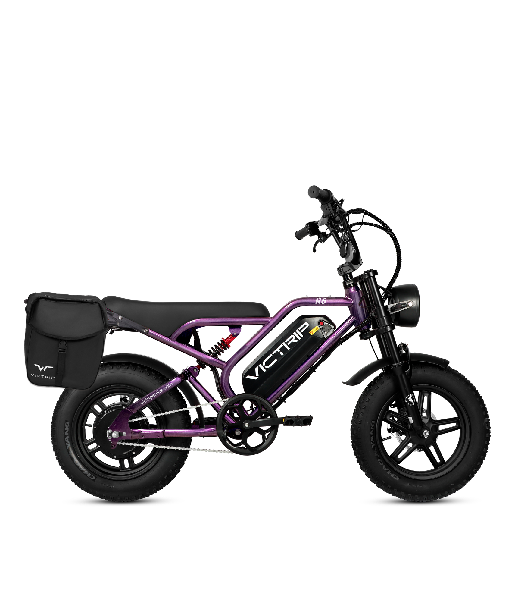 Cargo Electric Bike Full Fus | VICTRIP