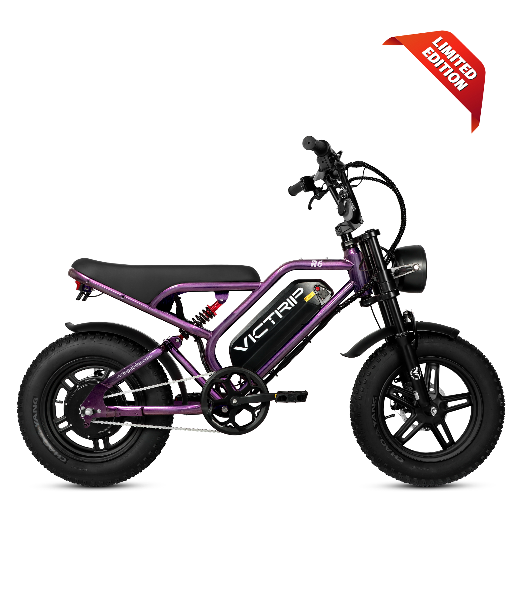 VICTRIP R6 Off Road Ebike