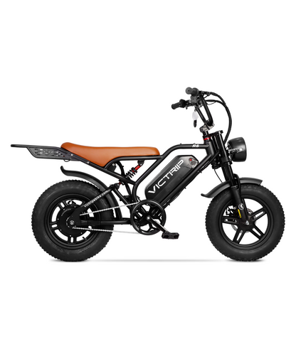 Full Suspension Ebikes 1000W​ | VICTRIP