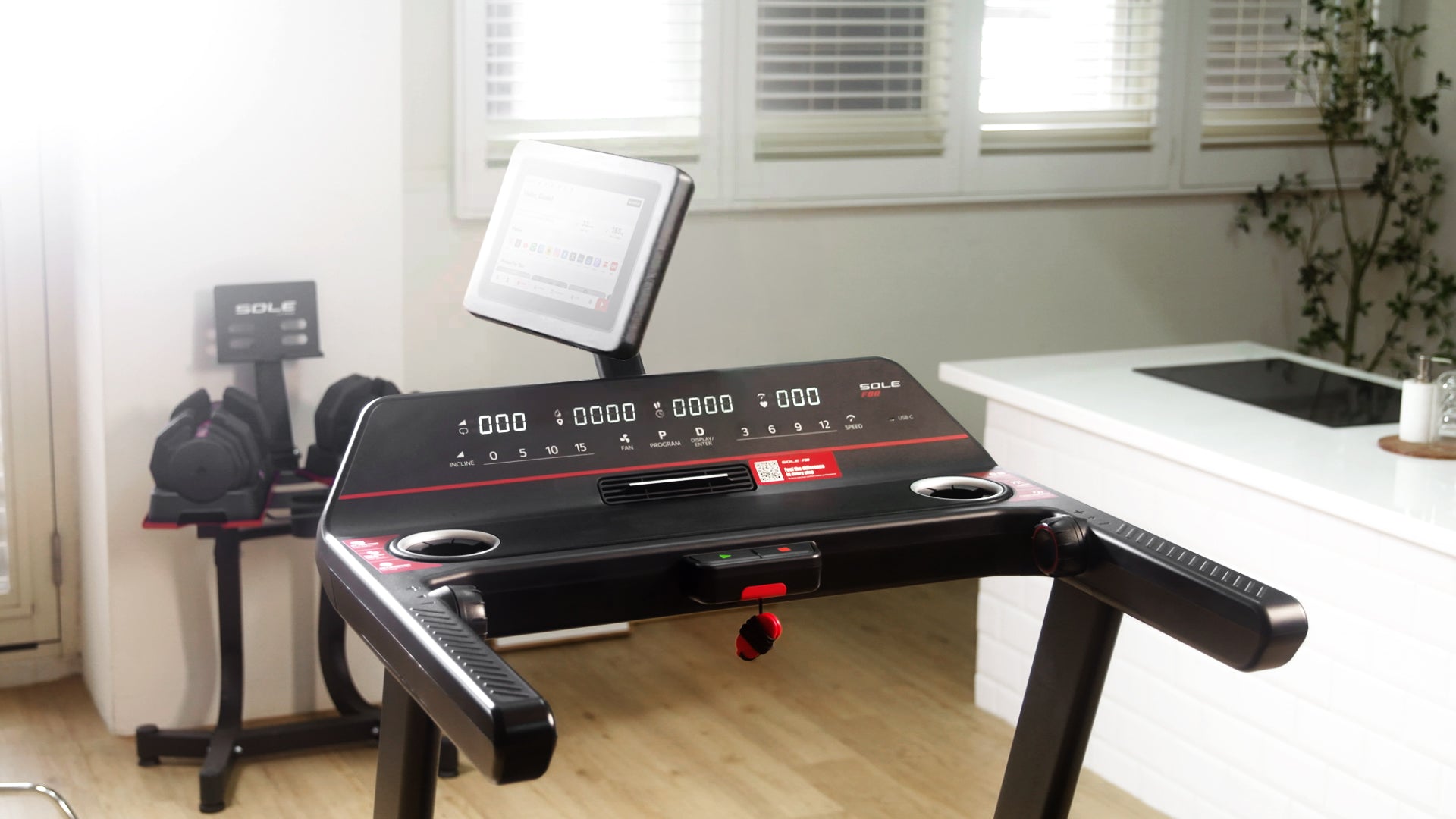 SOLE F80 Treadmill