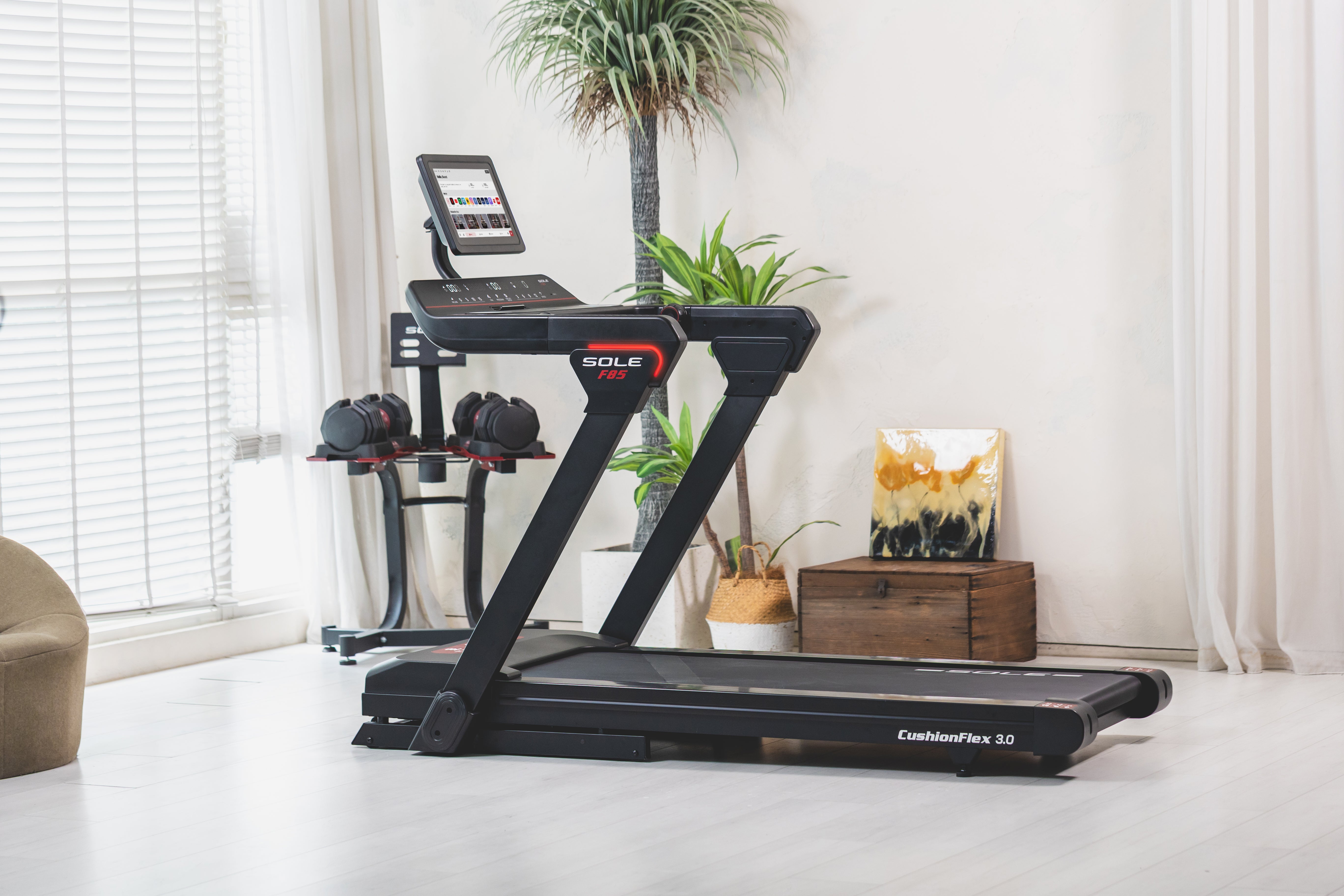 SOLE F85 Treadmill