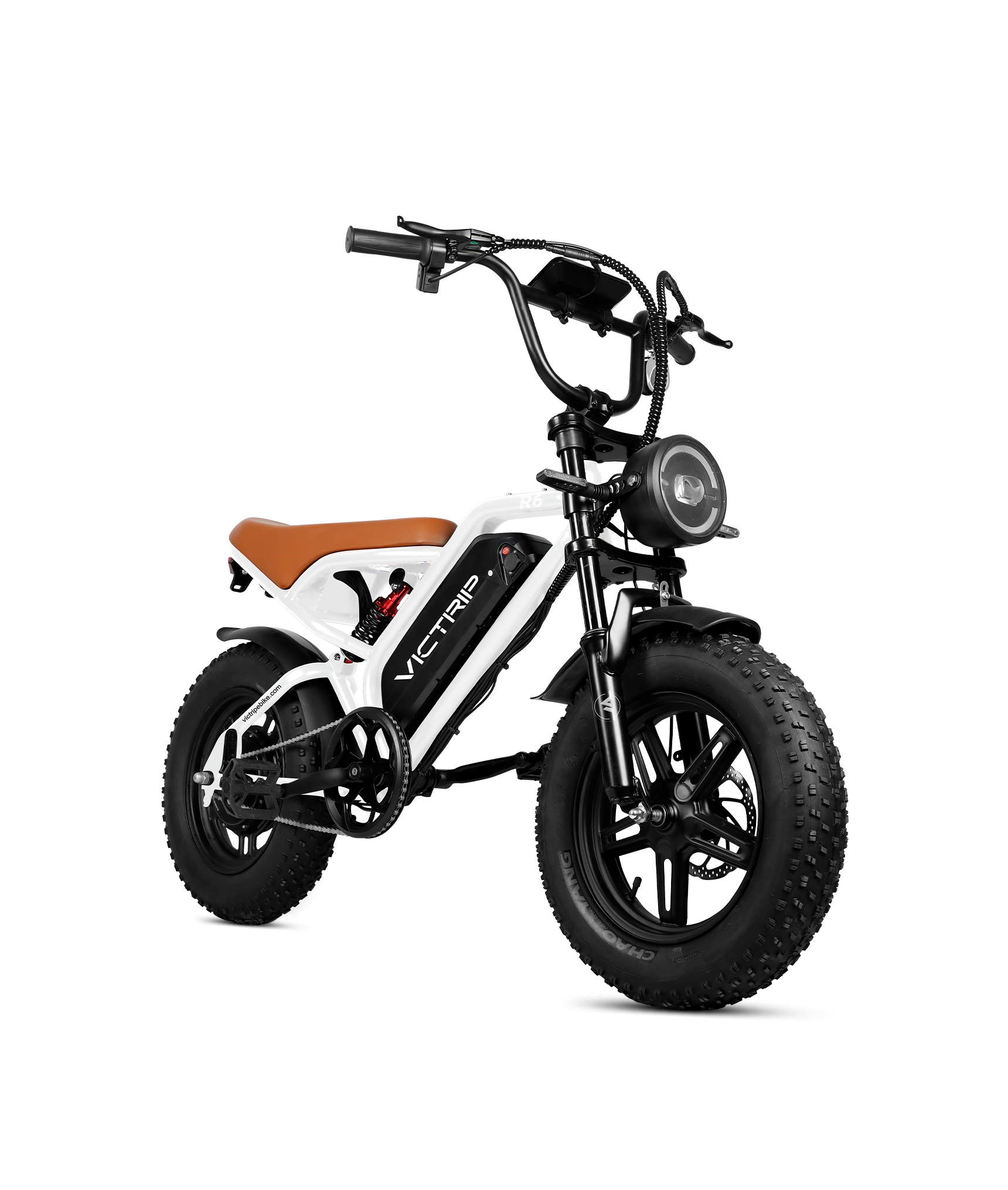 VICTRIP R6 Off Road Ebike