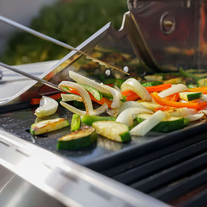Stainless Infrared Propane Gas Grill