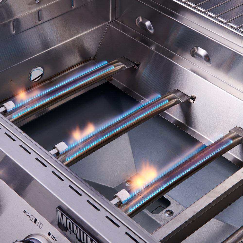 Stainless Infrared Propane Gas Grill