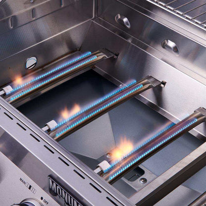 Stainless Infrared Propane Gas Grill