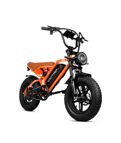 VICTRIP R6 Off Road Ebike