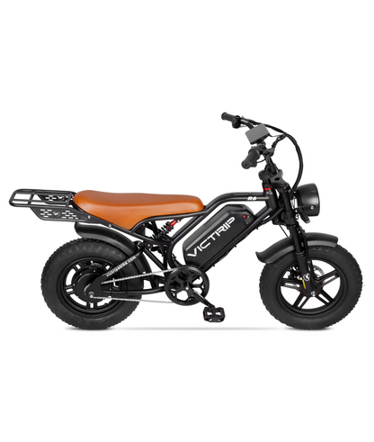 VICTRIP R6 Off Road Ebike