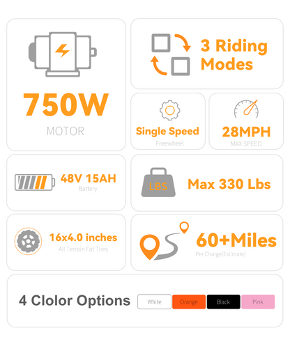 VICTRIP R6 Off Road Ebike