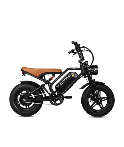 Off Road Ebike Fat Tire | VICTRIP