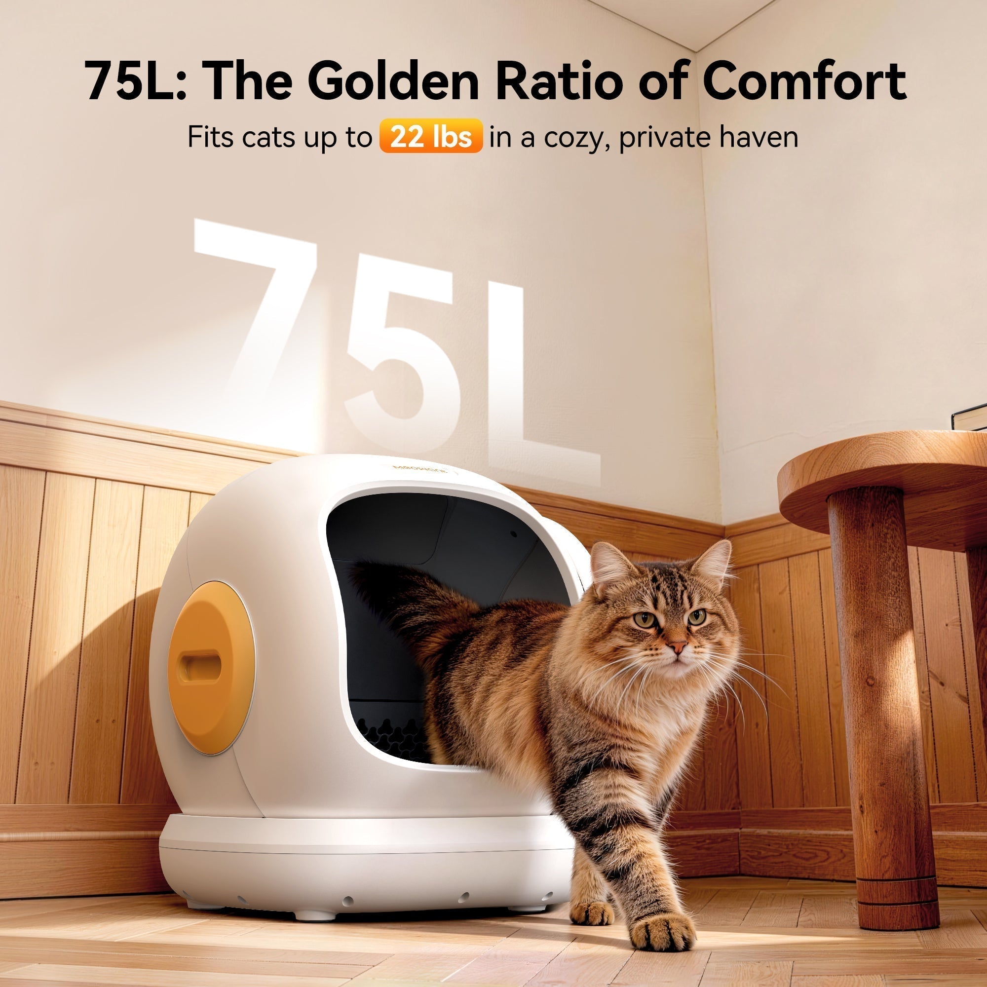 Self-Cleaning Cat Litter Box