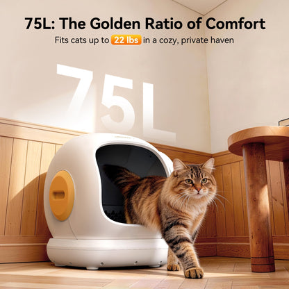 Self-Cleaning Cat Litter Box