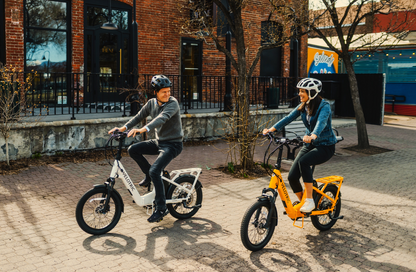 Fold 1 Plus Ebike