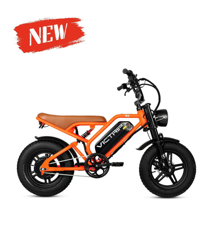 VICTRIP R6 Off Road Ebike