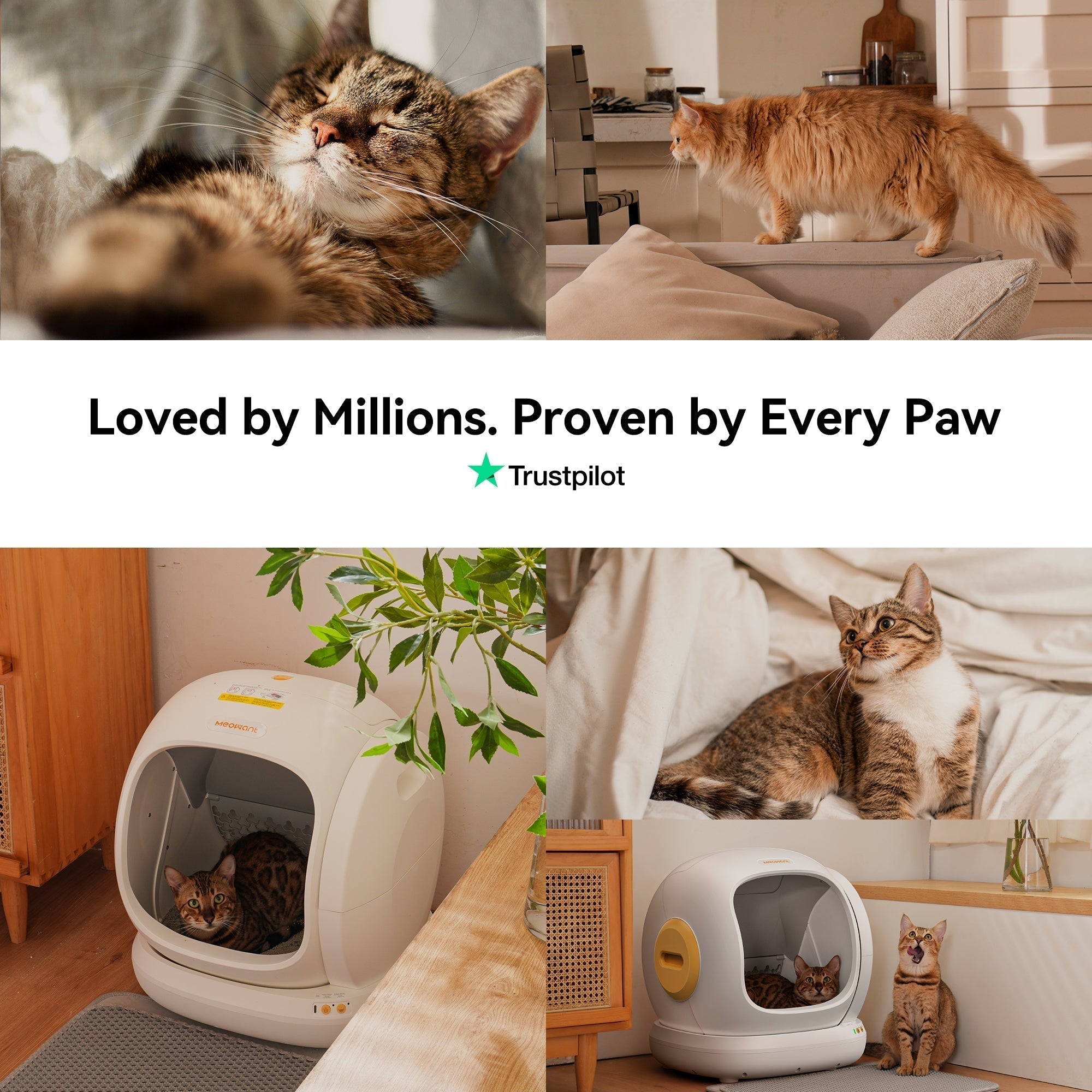 Self-Cleaning Cat Litter Box