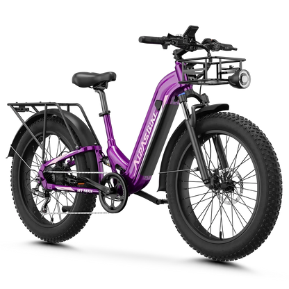 M1 Pro Xterrain ST Ebike