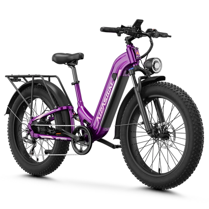 M1 Pro Xterrain ST Ebike