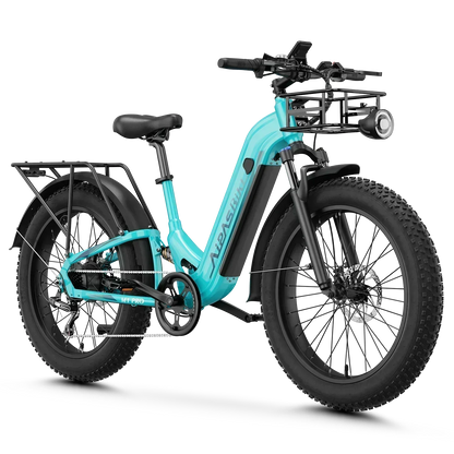 M1 Pro Xterrain ST Ebike