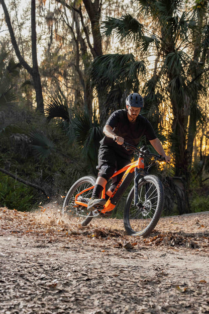 Summit 1 Ebike