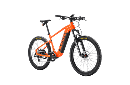Summit 1 Ebike