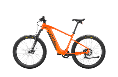 Summit 1 Ebike