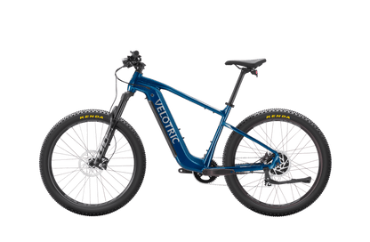 Summit 1 Ebike