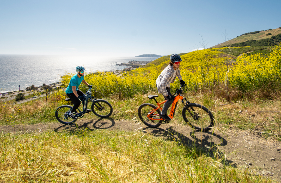 Summit 1 Ebike