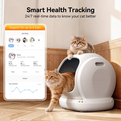 Self-Cleaning Cat Litter Box