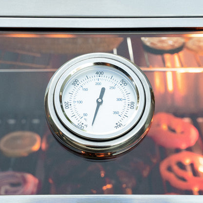 Stainless Infrared Propane Gas Grill