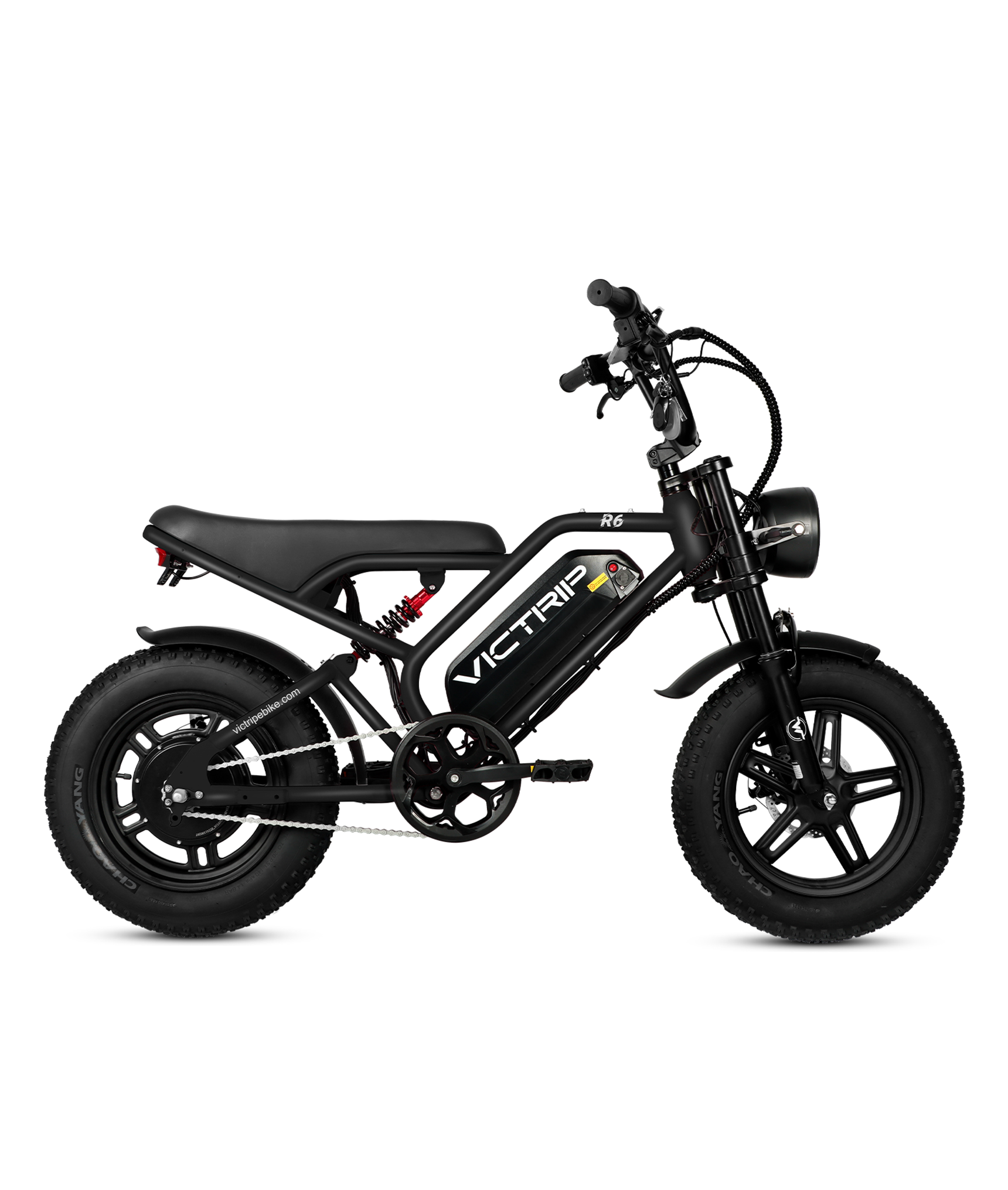 Black Electric Bike Affordable​ | VICTRIP