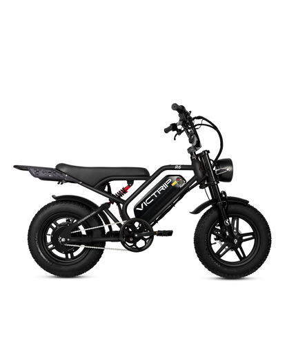 Cargo Electric Bike Mini​ | VICTRIP