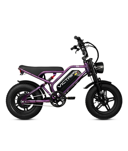 MIni Electric Bike Affordable​ | VICTRIP