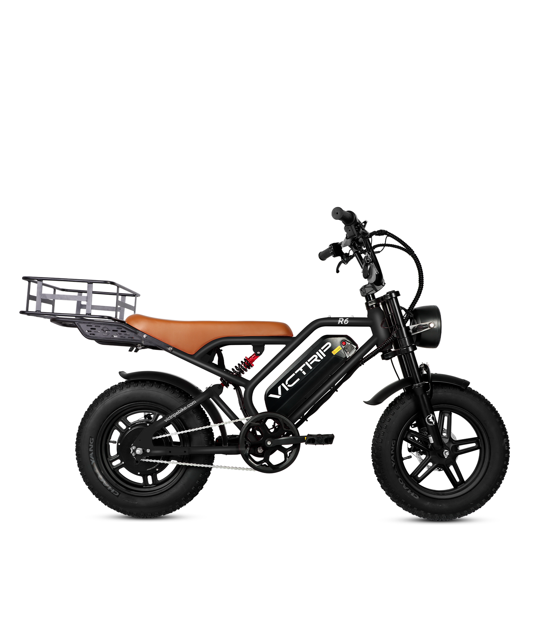 750W Electric Bike Cargo​​​​ | VICTRIP