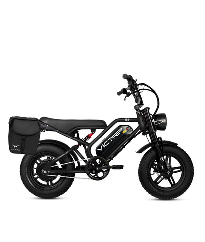 Cargo Electric Bike Off Road​ | VICTRIP