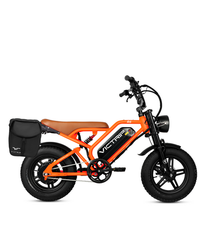 Best Electric Bike Under $800​ | VICTRIP