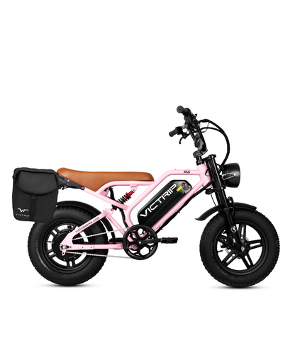 Electric Bike With Cargo​​​​​ | VICTRIP