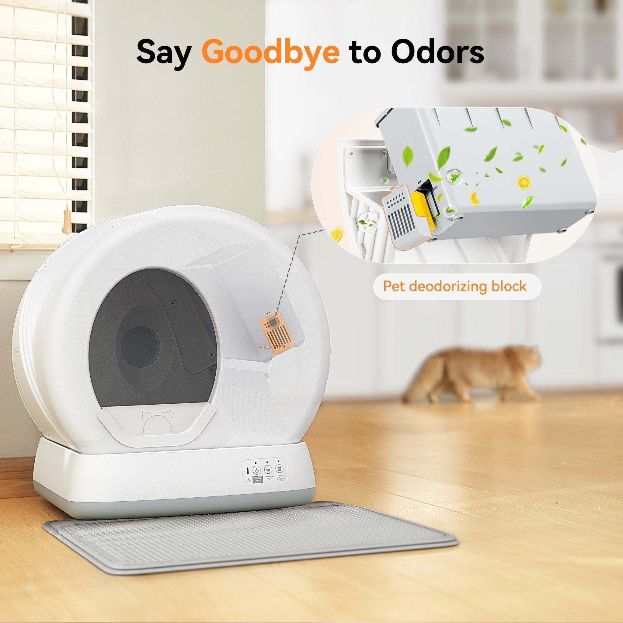 Self-Cleaning Cat Litter Box