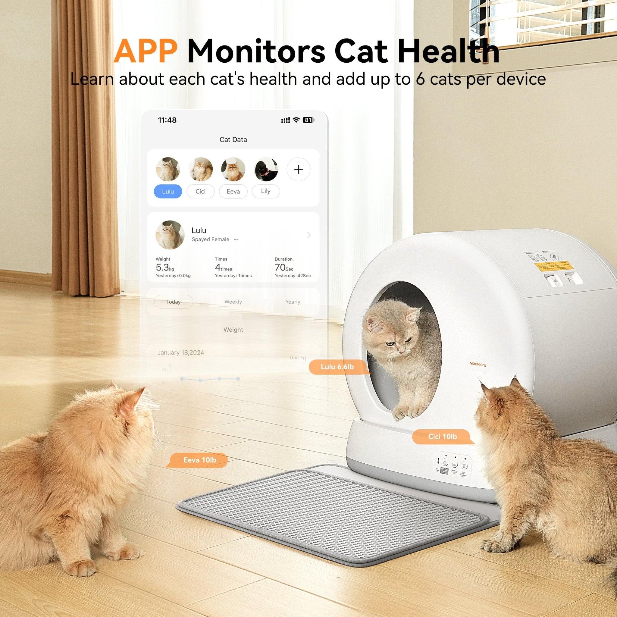 Self-Cleaning Cat Litter Box